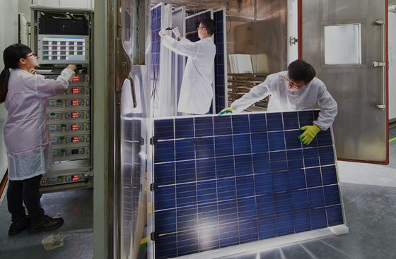 End-to-End Projector CE Certification — GTS One-Stop Service