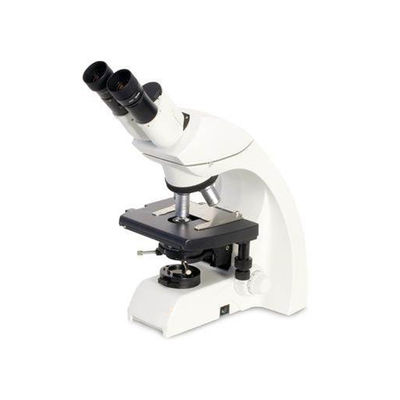 Aus dritter Quelleprüfung des Elektronenmikroskop-Elektronik-Testlaboratorium-Geschäfts SAA RCM und Authentisierungsdienstleistungen