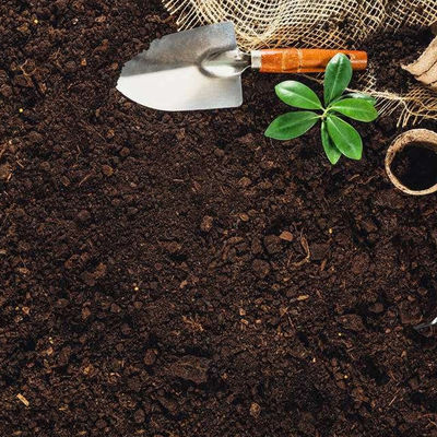 Landwirtschaftliches Boden-Laborversuch-Geschäft für aus dritter Quelleauthentisierungsservice der Verkaufs-globalen Bescheinigung