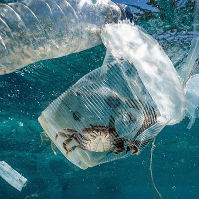 Testlaboratorium-Ausbildungs-der biologischen Verschmutzungs-Berechtigung Boden-und Wasser-ULs aus dritter Quelleauthentisierungsservice