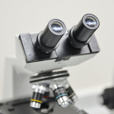 Aus dritter Quelleprüfung des Elektronenmikroskop-Elektronik-Testlaboratorium-Geschäfts SAA RCM und Authentisierungsdienstleistungen