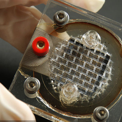 Aus dritter Quelleprüfung reverberator-Ausrüstungs-Elektronik-Testlaboratorium-Firma-EMC-LANGSPIELPLATTEN SELV und Authentisierungsdienstleistungen