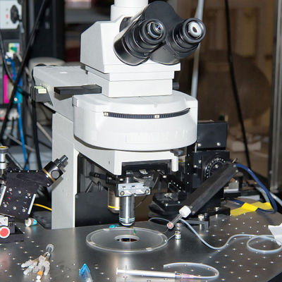 Aus dritter Quelleauthentisierungsservice Cer-Mark Intertek Test Laboratories Electric-Zahnbürste