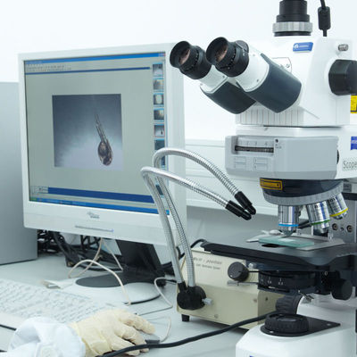 ISO-CER Laborbescheinigung hält aus dritter Quelleauthentisierungsservice GTS-Elektrorasierers instand