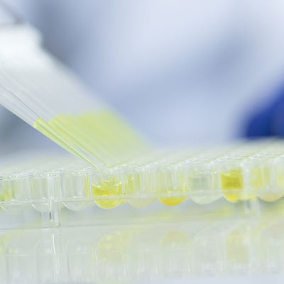 Nahrungsmittelglas-Testlaboratorium-Service-FDA beglaubigte Laboraus dritter quelleauthentisierungsservice